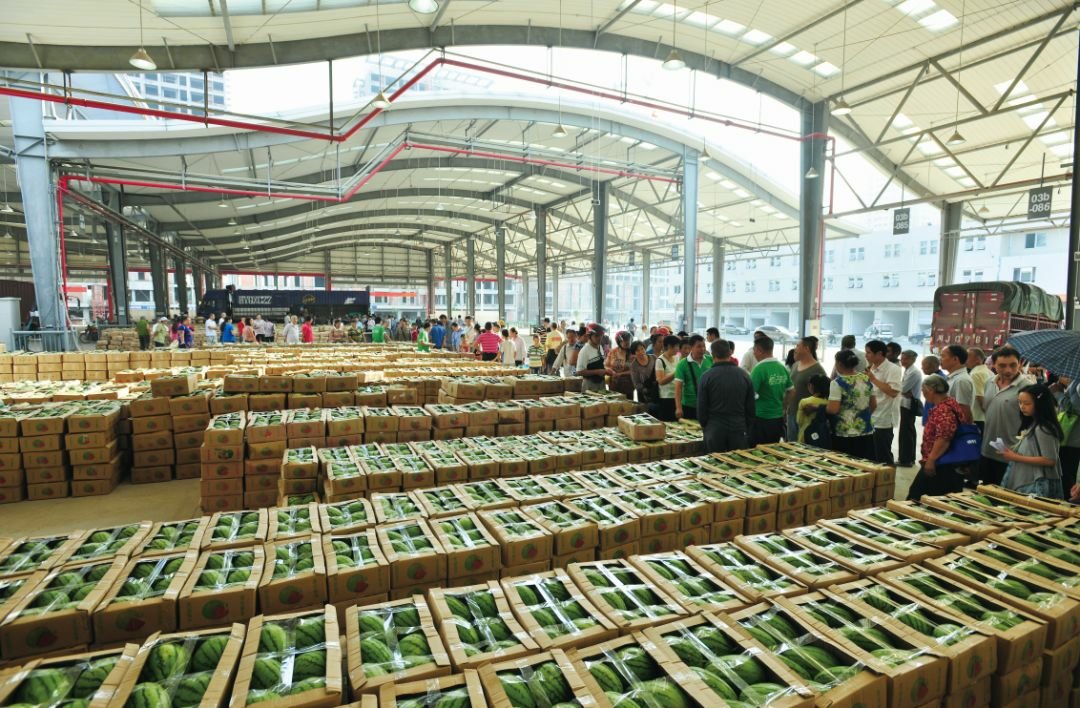 江北区毛先生在江津双福农产品批发市场买到了种猪肉