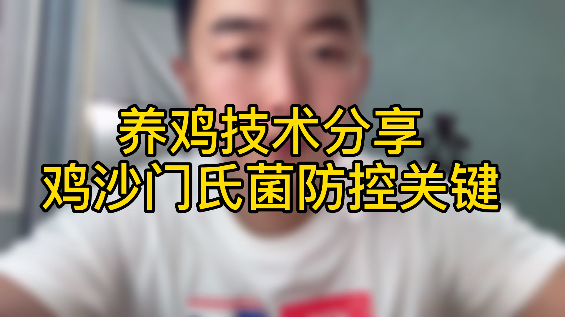 养鸡技术分享,鸡沙门氏菌防控关键,你知道吗?