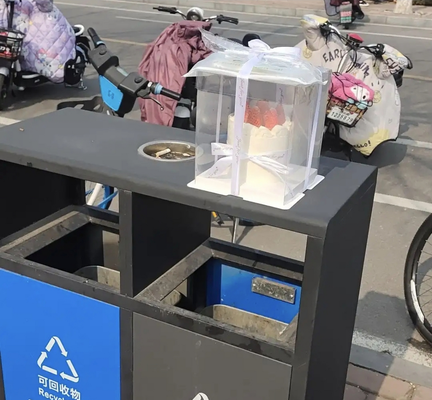 网友:今天逛街在垃圾桶捡到一个蛋糕,感谢大自然的馈赠,我要开动了.