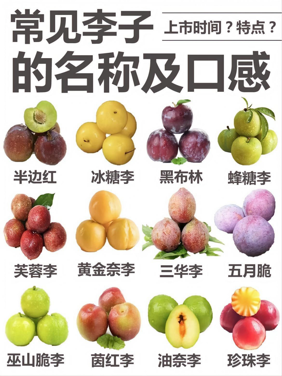 李子种类也这么多,快来看看你喜欢哪种