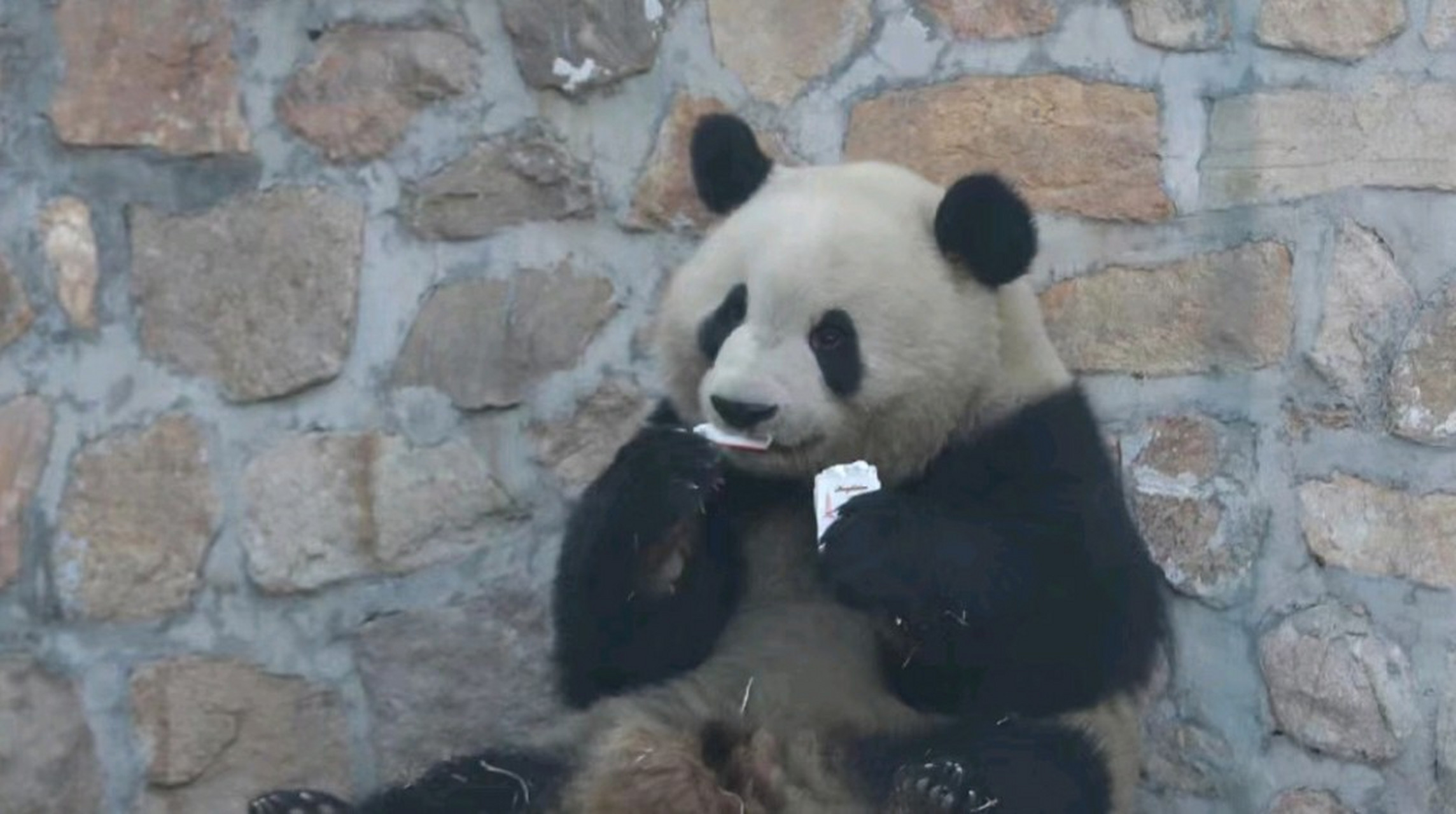 这个烟盒不是游客扔进来的,更不能是饲养员留下的.