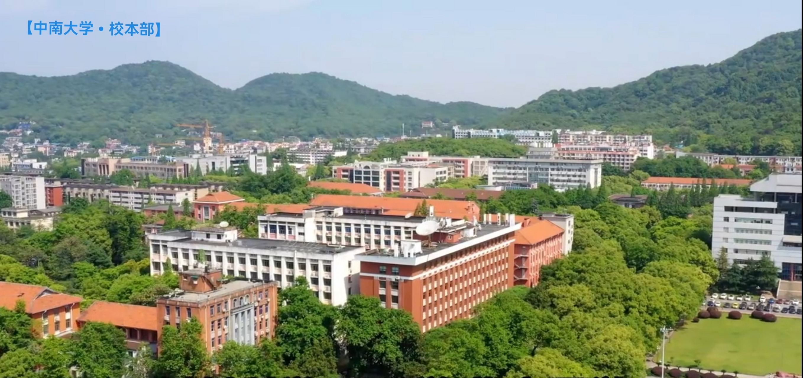 岳麓山中南大学图片