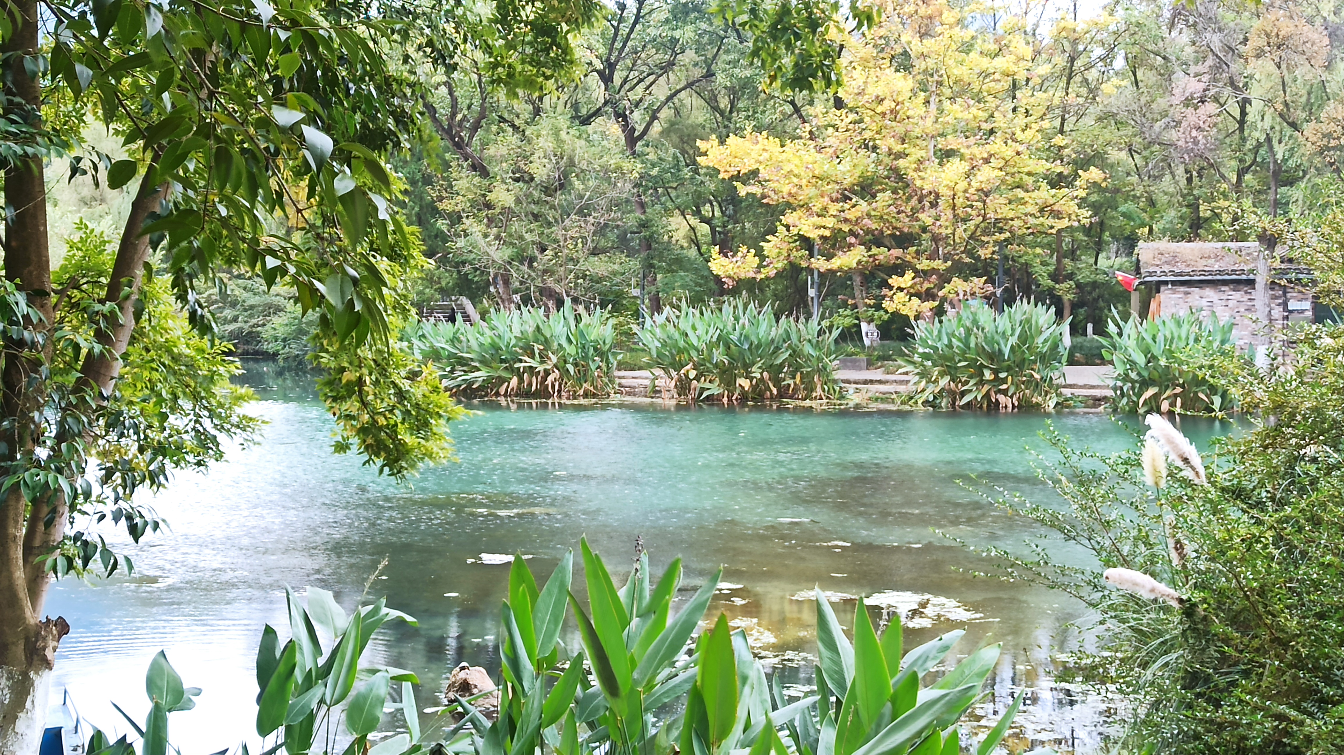 贵阳花溪公园游览攻略