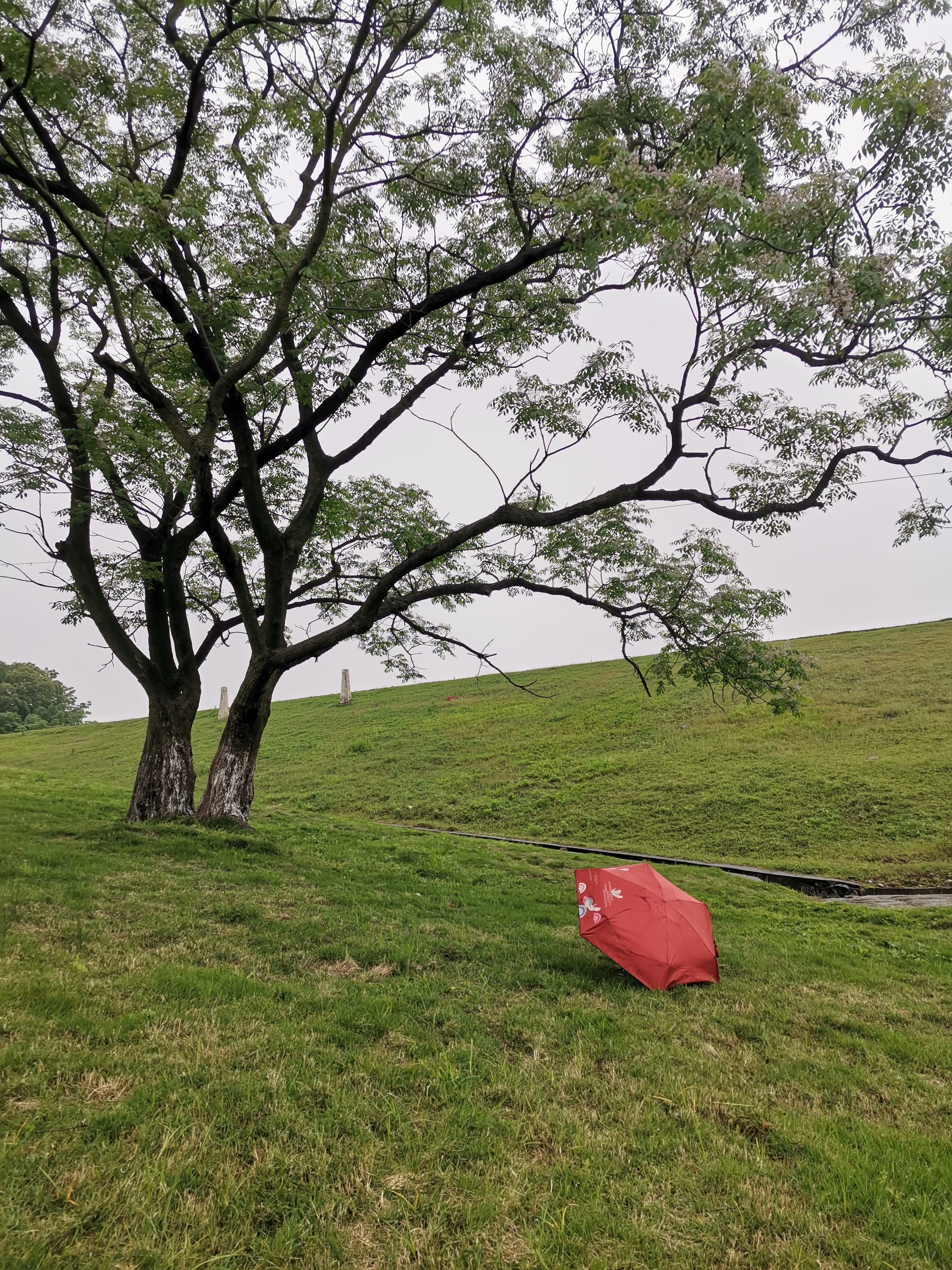 追風趕月莫停留,乘風歸去,繁花片片落滿地