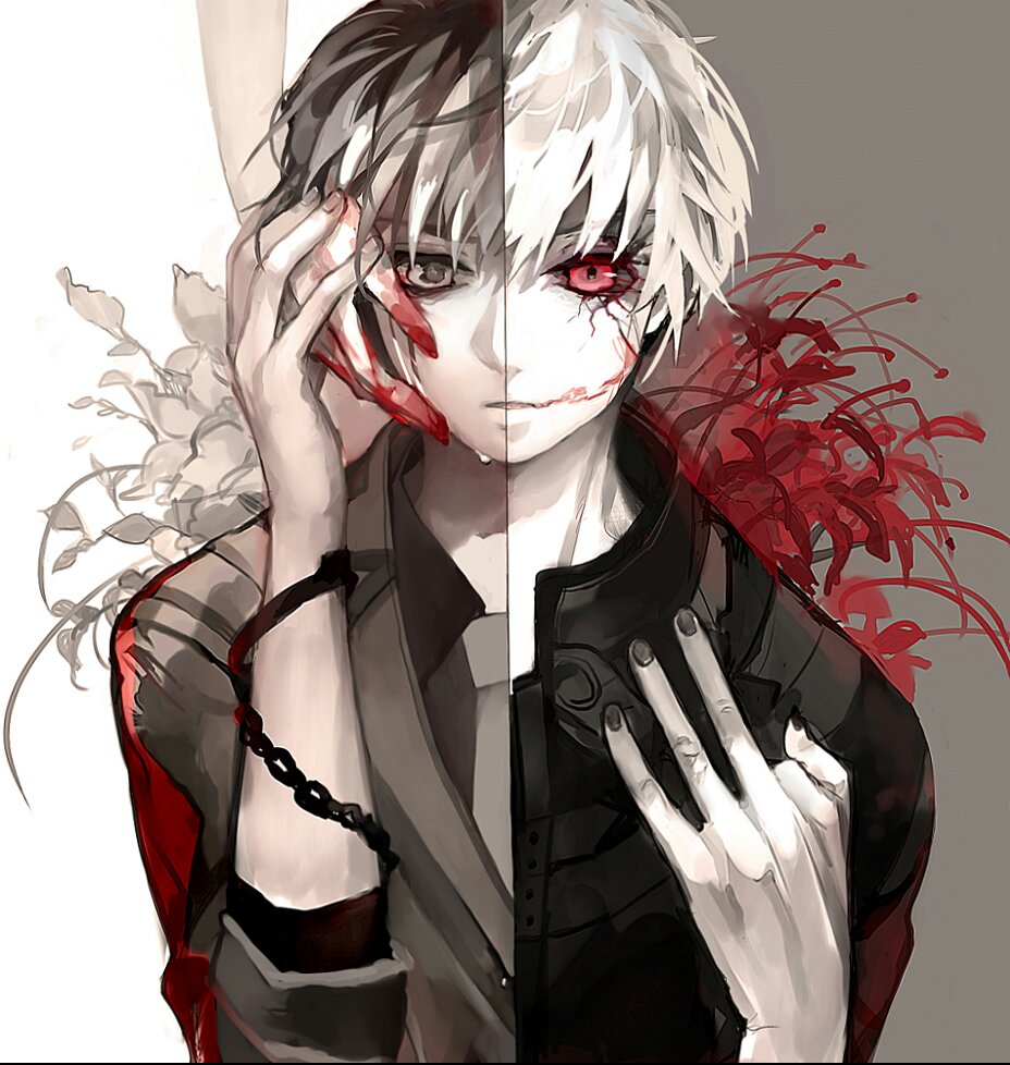 美图,东京食尸鬼,金木研