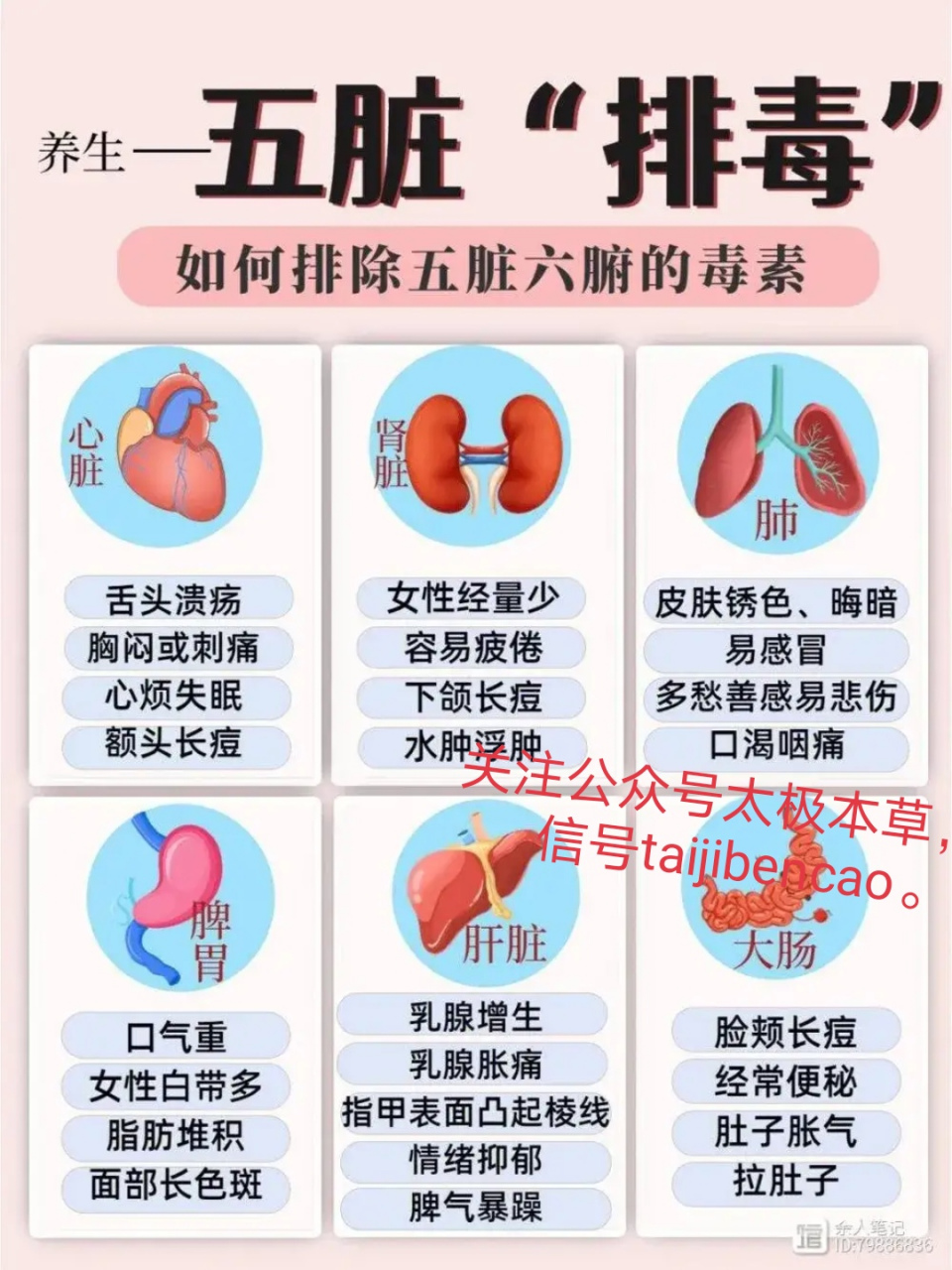 如何排出五脏六腑的毒素