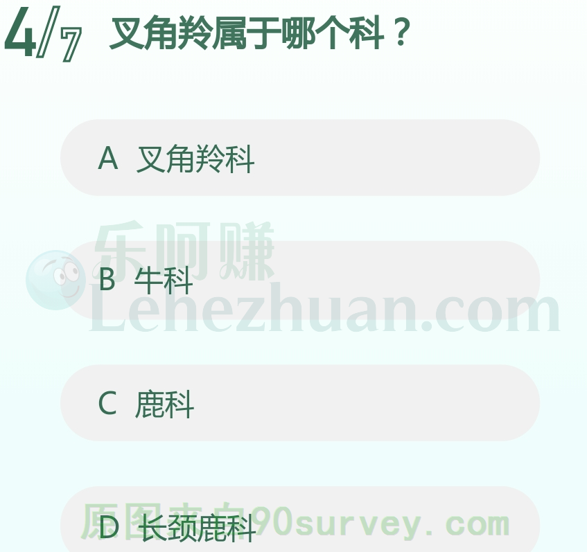 叉角羚属于叉角羚科