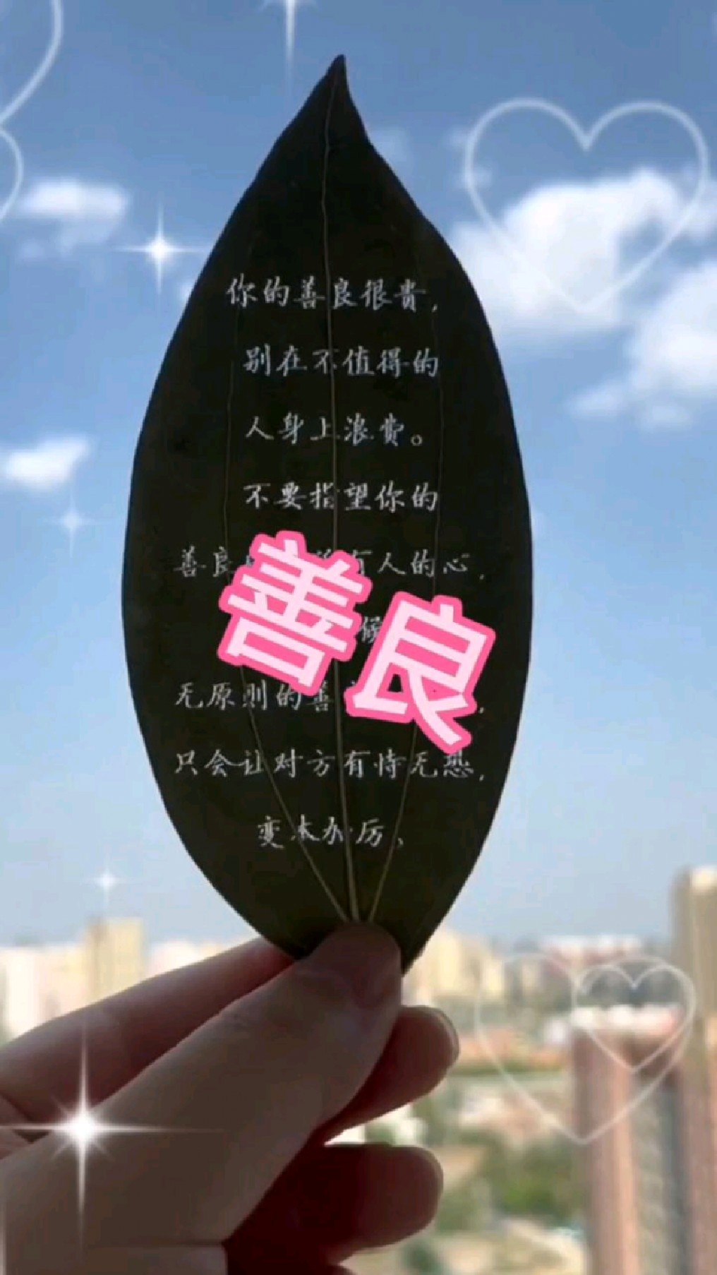 我劝你善良,无论这世界多冷漠()