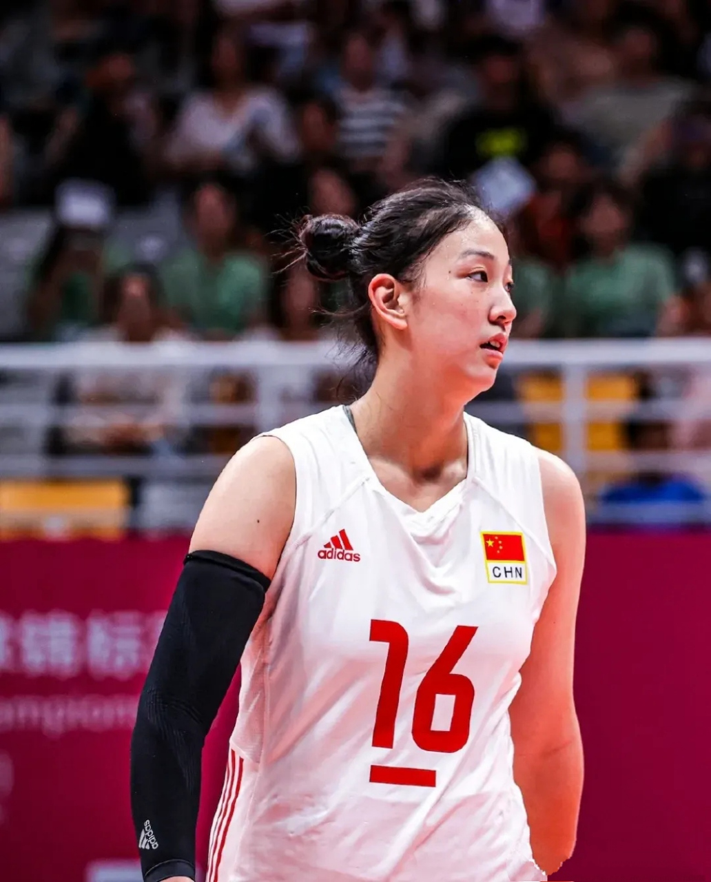 想看暴力接应杨舒茗,大力跳发主攻孙虹云,闪电副攻陈晓辉的球迷有福啦