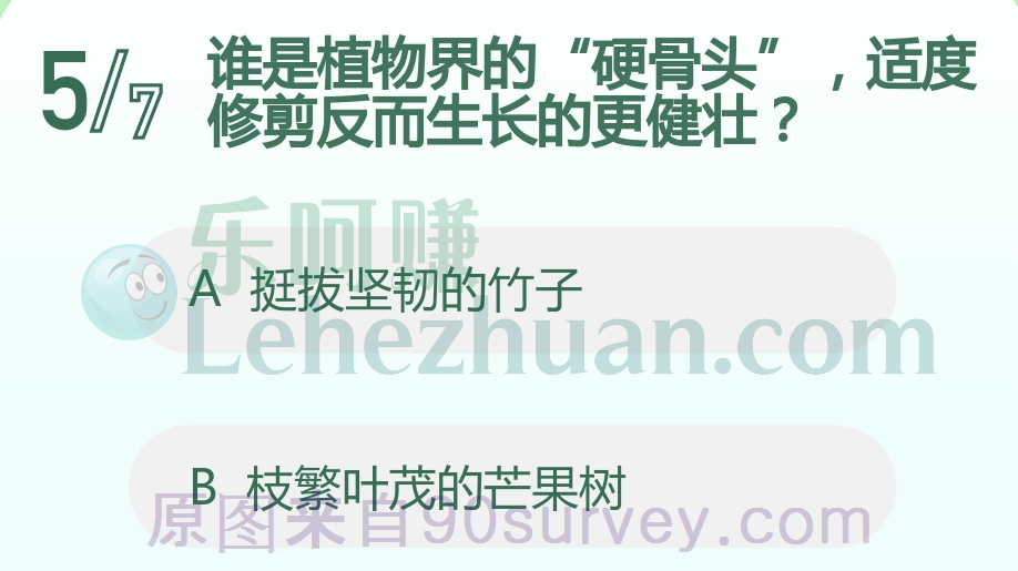 芒果树适度修剪反而生长的更健壮