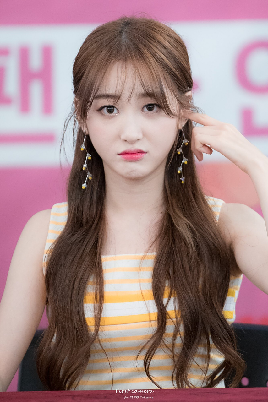 ,韩国歌手,演员,女团组合elris成员