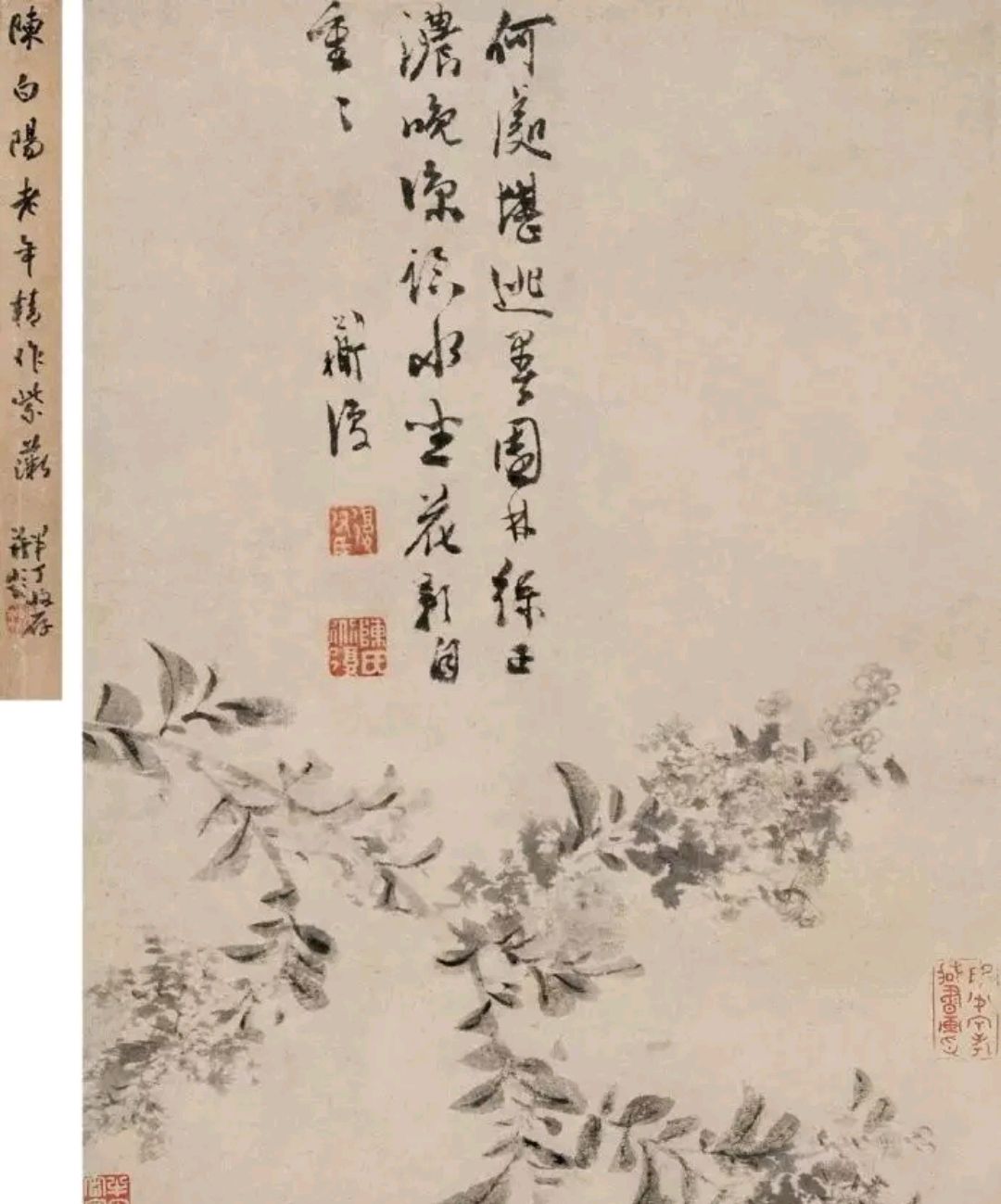 陈淳花鸟画,重笔墨气韵,重写意精神!