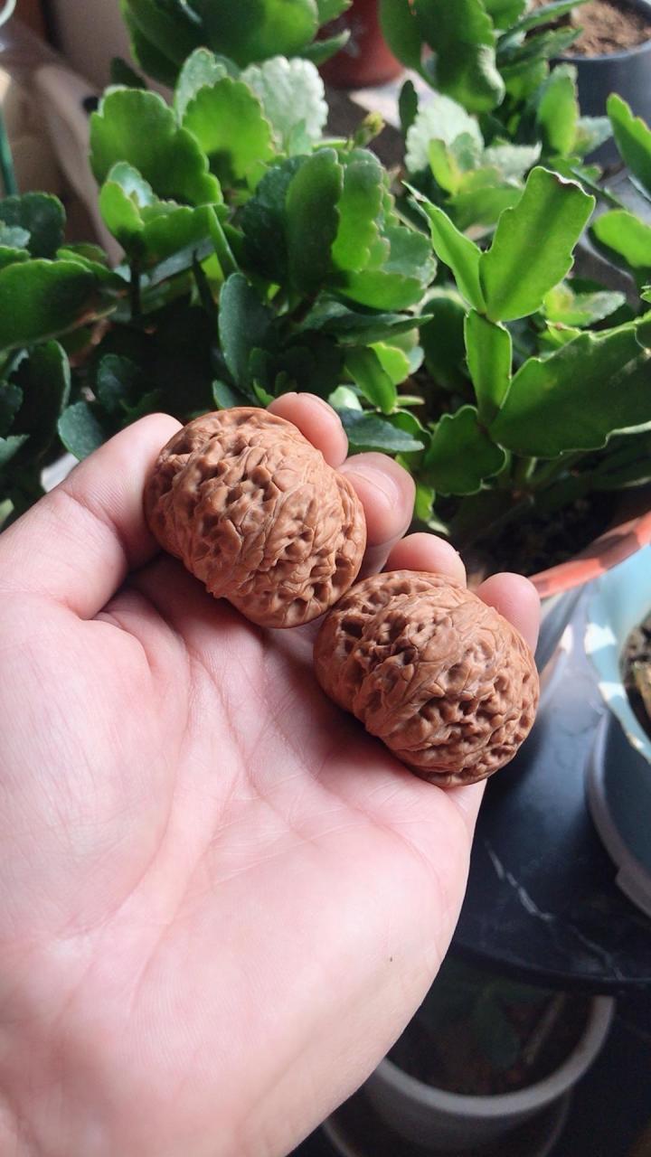 手工# 元宝磨,磨盘狮子头,又称老款闷尖狮子头,最古老的最古老的眉忖