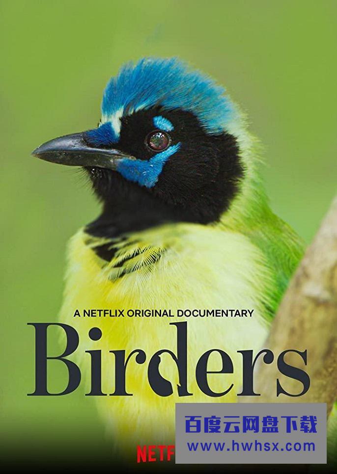 《观鸟者 Birders]》4K|1080P高清百度网盘
