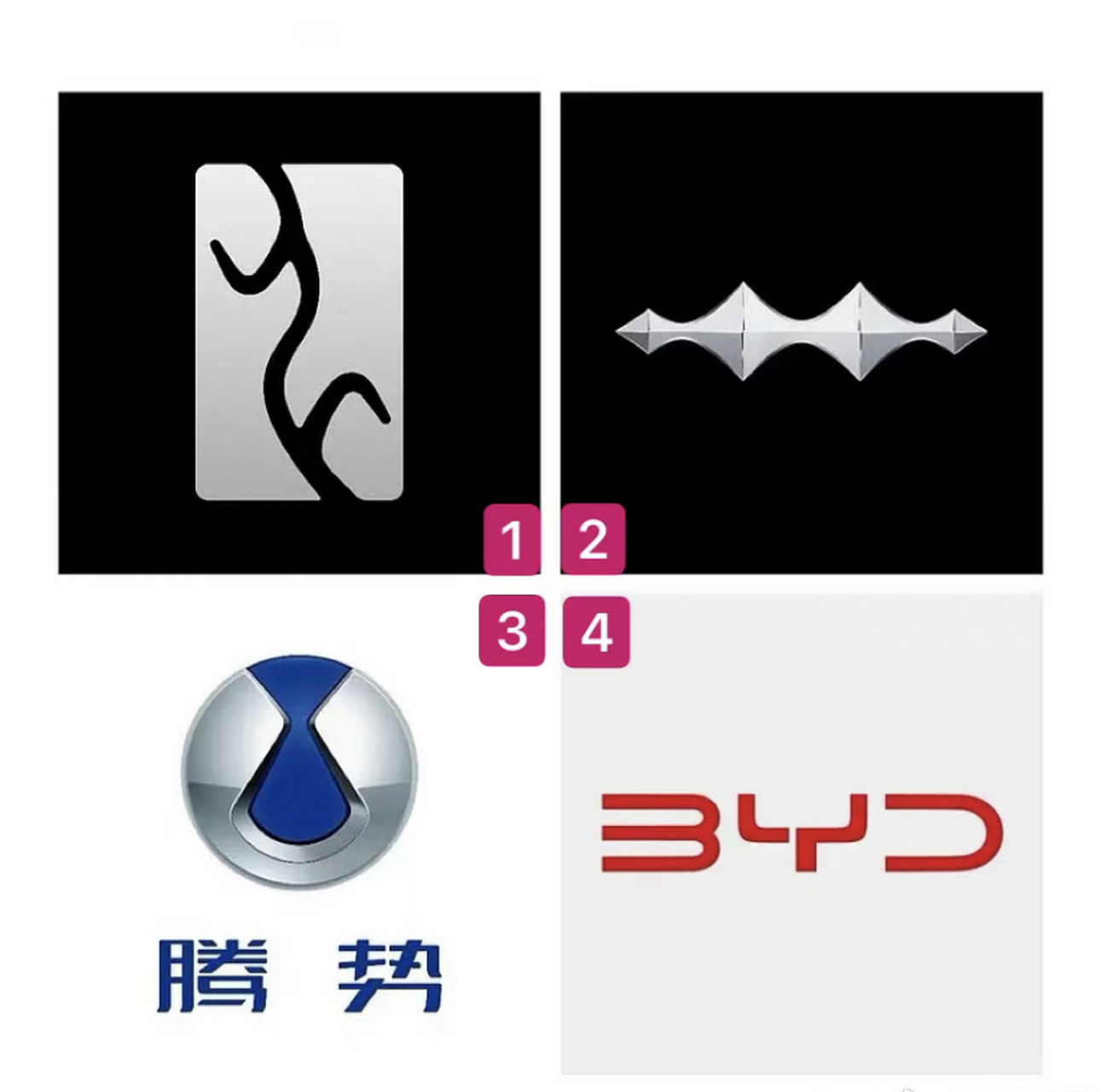 目前比亚迪旗下4大汽车品牌logo汇总:  ①.仰望,②.方程豹,③.腾势,④