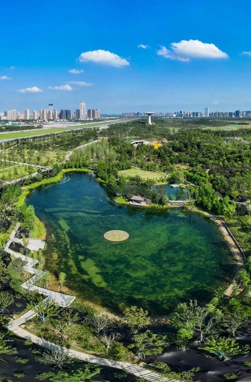 合肥骆岗公园被央视点赞了,合肥作为一座崛起迅速的城市,近些年在文旅