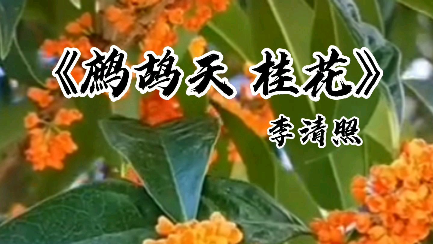 [图]《鹧鸪天·桂花》李清照