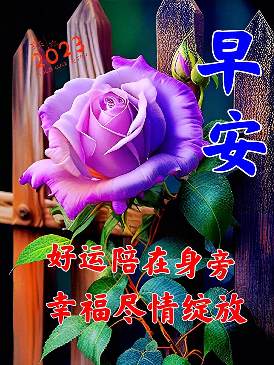 正能量的早安句子 早安励志正能量的句子 早安图片 1. 早安!