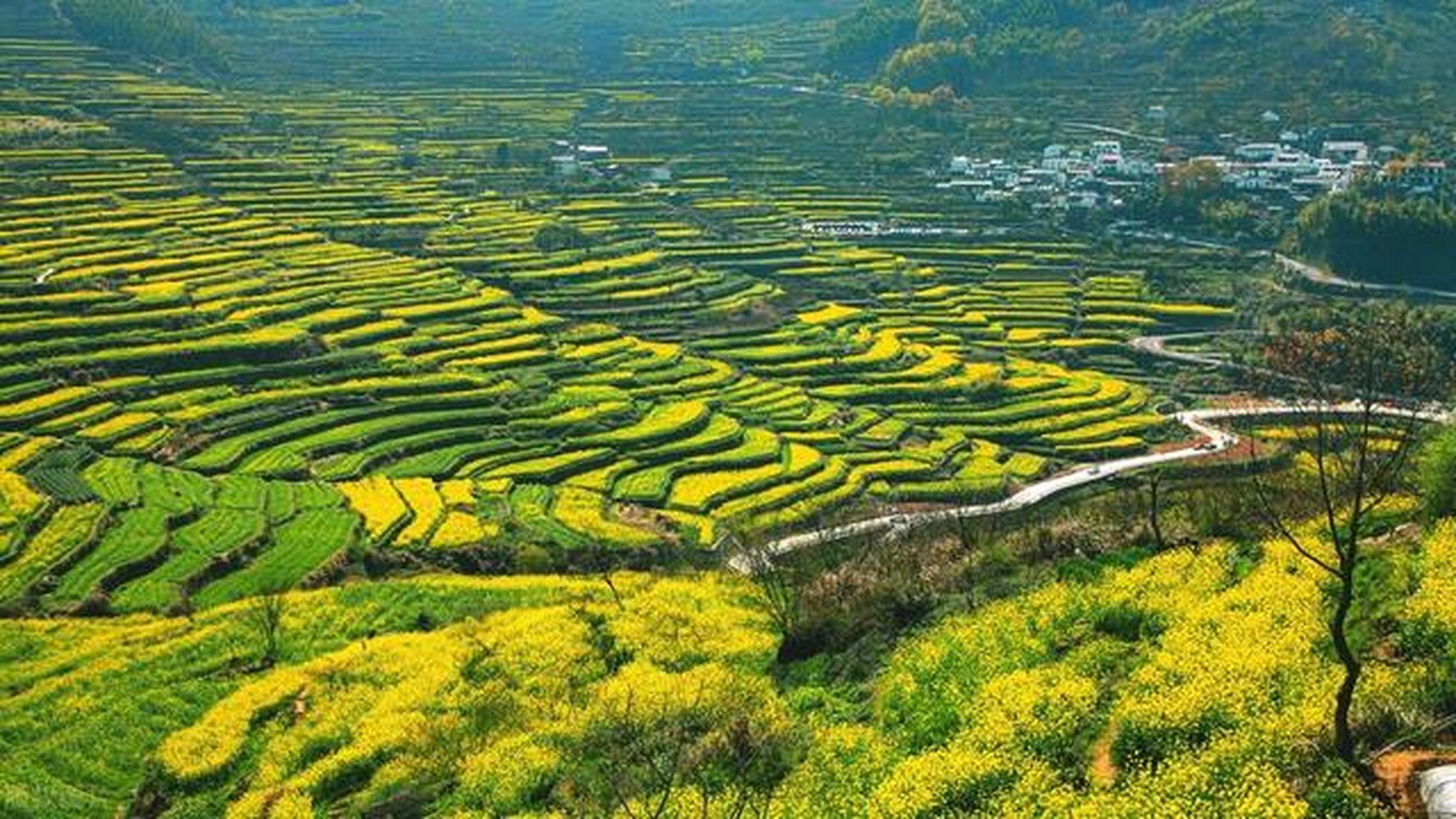 美丽的乡村风光#摄影# #中国美景大赏# #农村