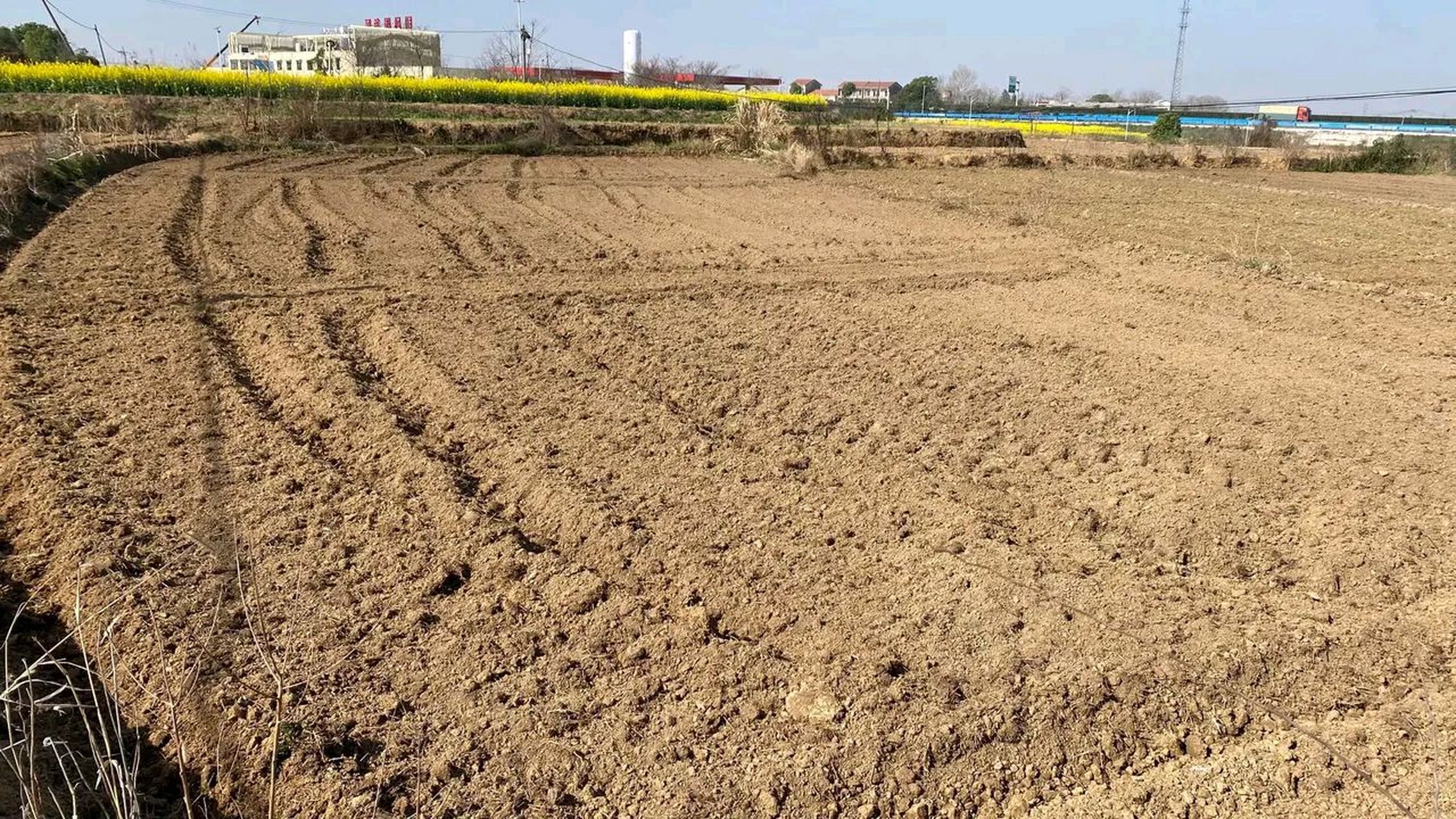 请大机子耕了5亩,自己用微耕机耕了3亩.