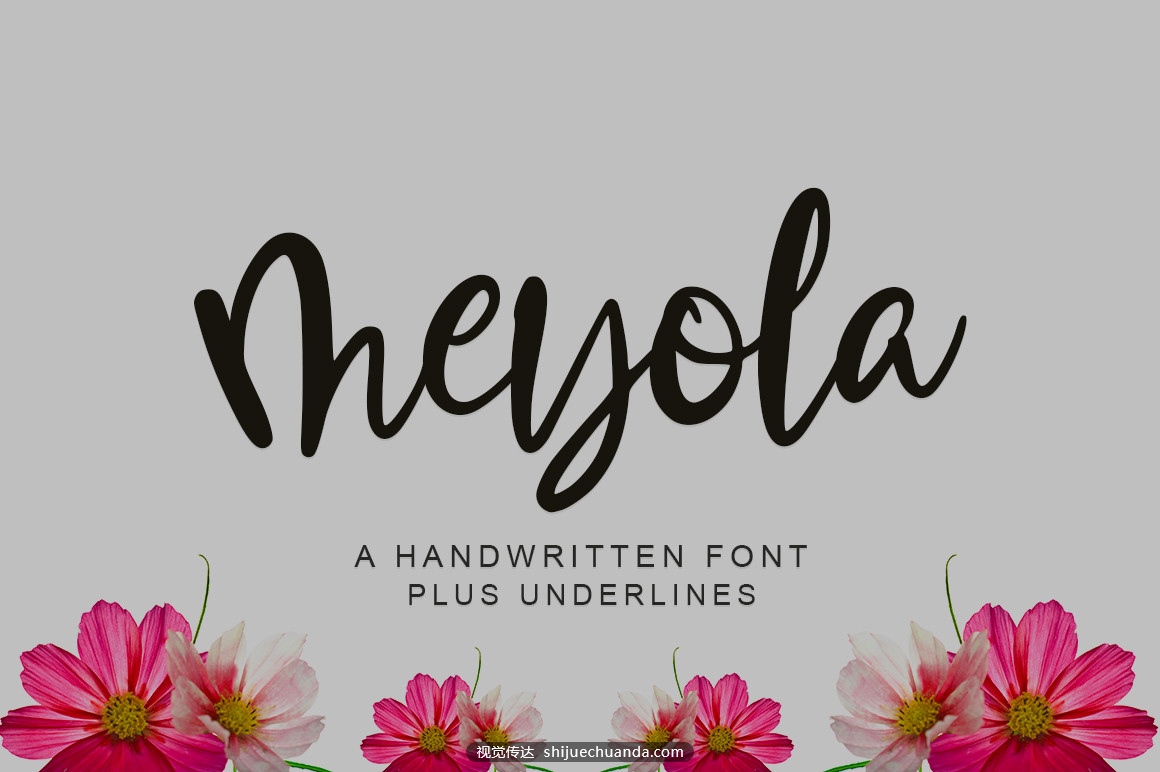 Meyola-Fonts-16940251-1.jpg