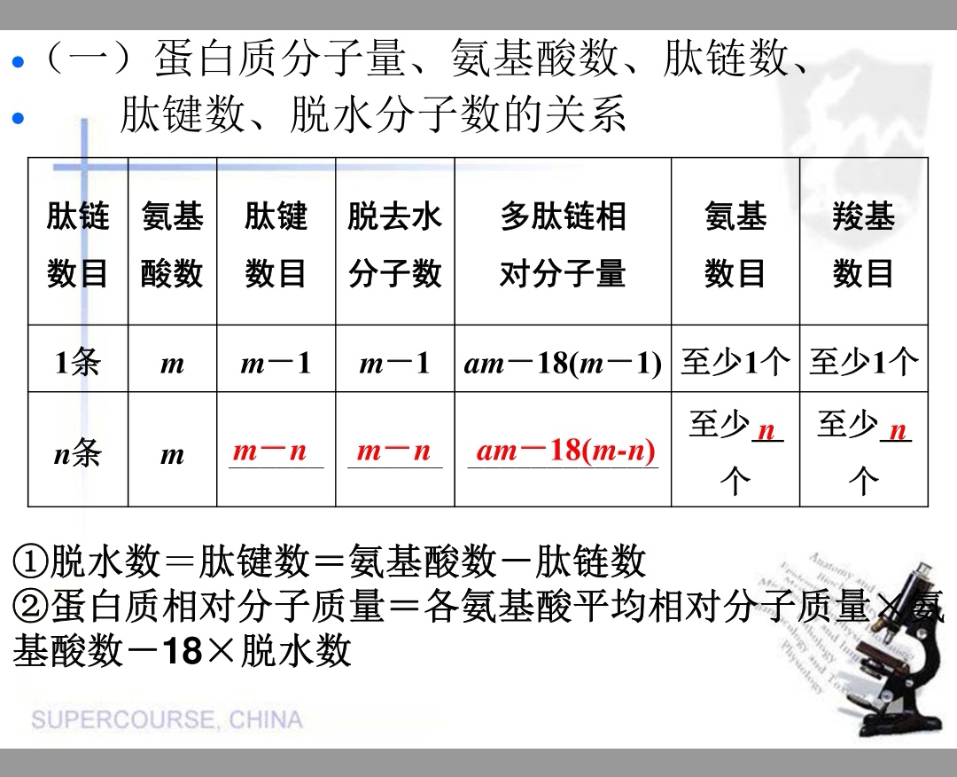 肽鍵數=失水數=氨基酸數-肽鏈數