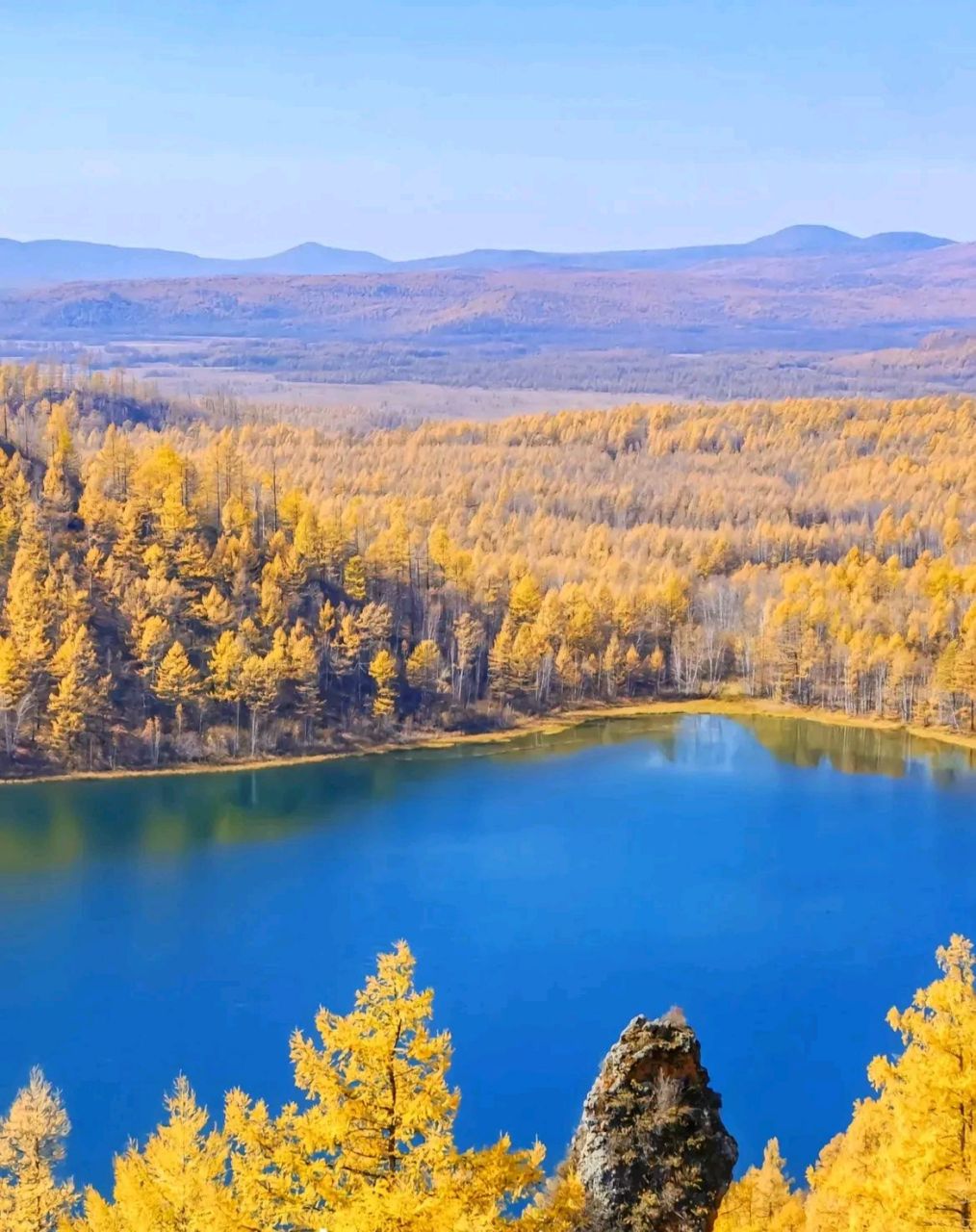 大兴安岭的秋天#摄影# #中国美景大赏