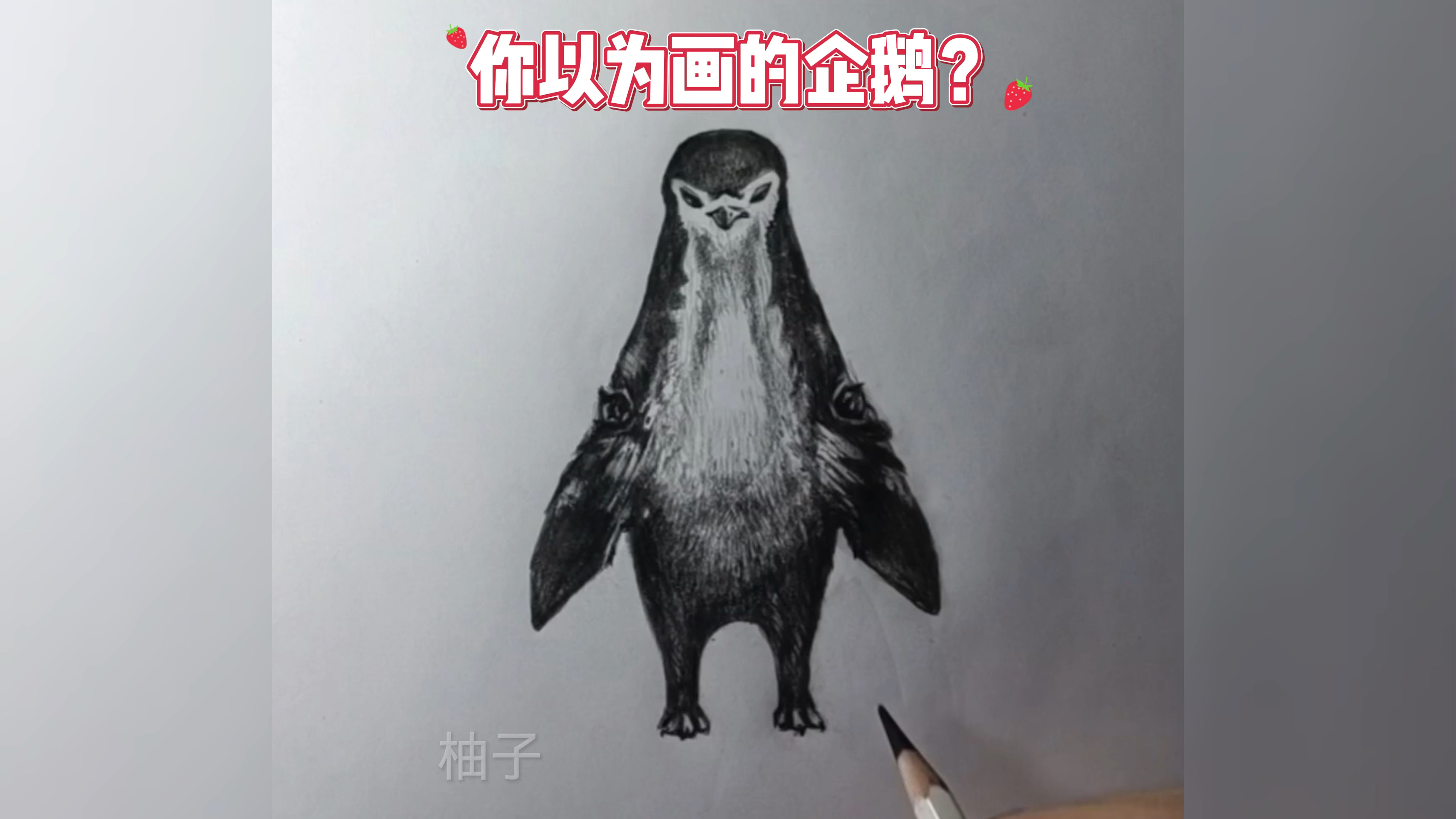 画个企鹅,倒过来看却是别的动物