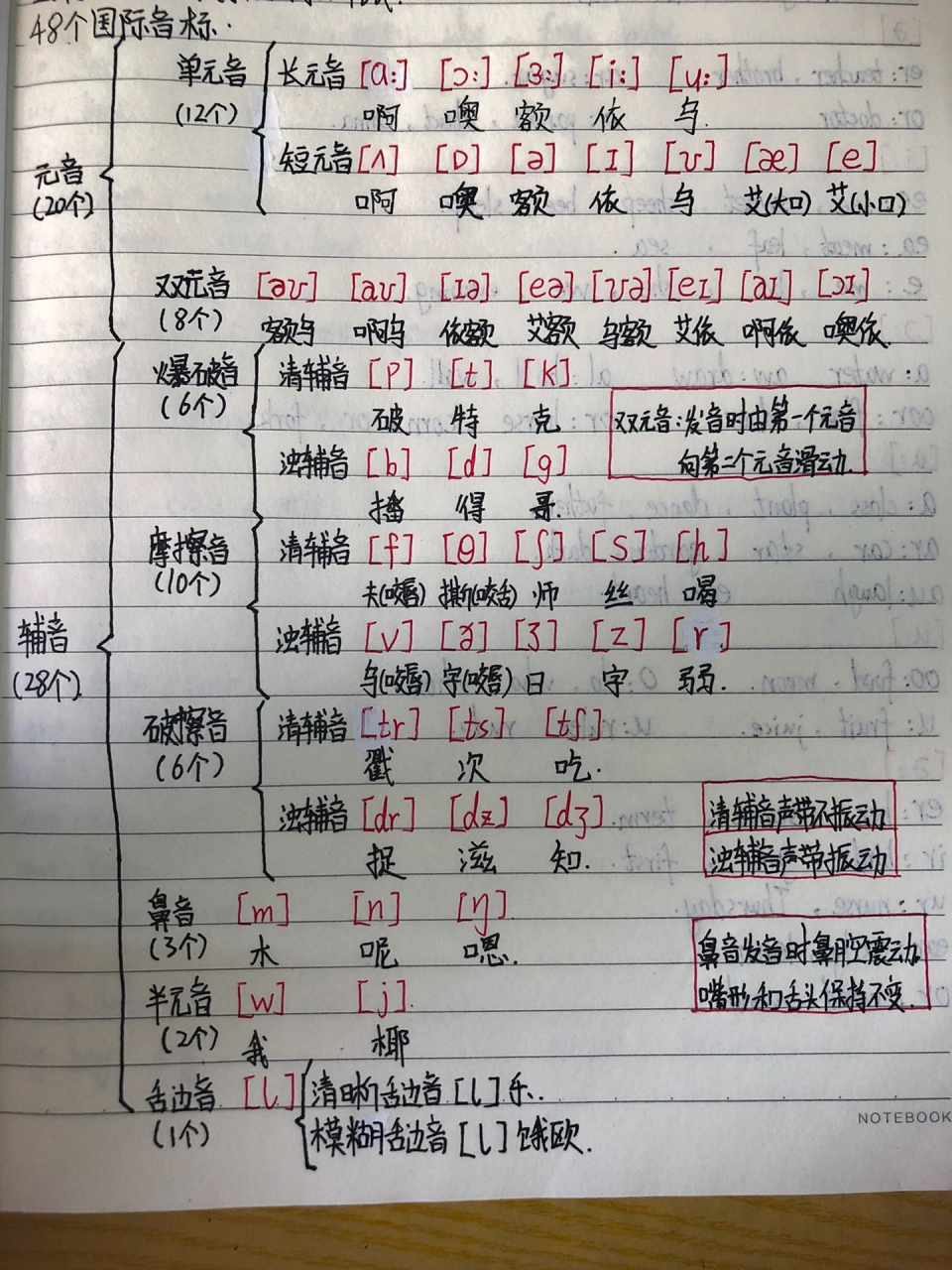 英语48个音标发音读法图片