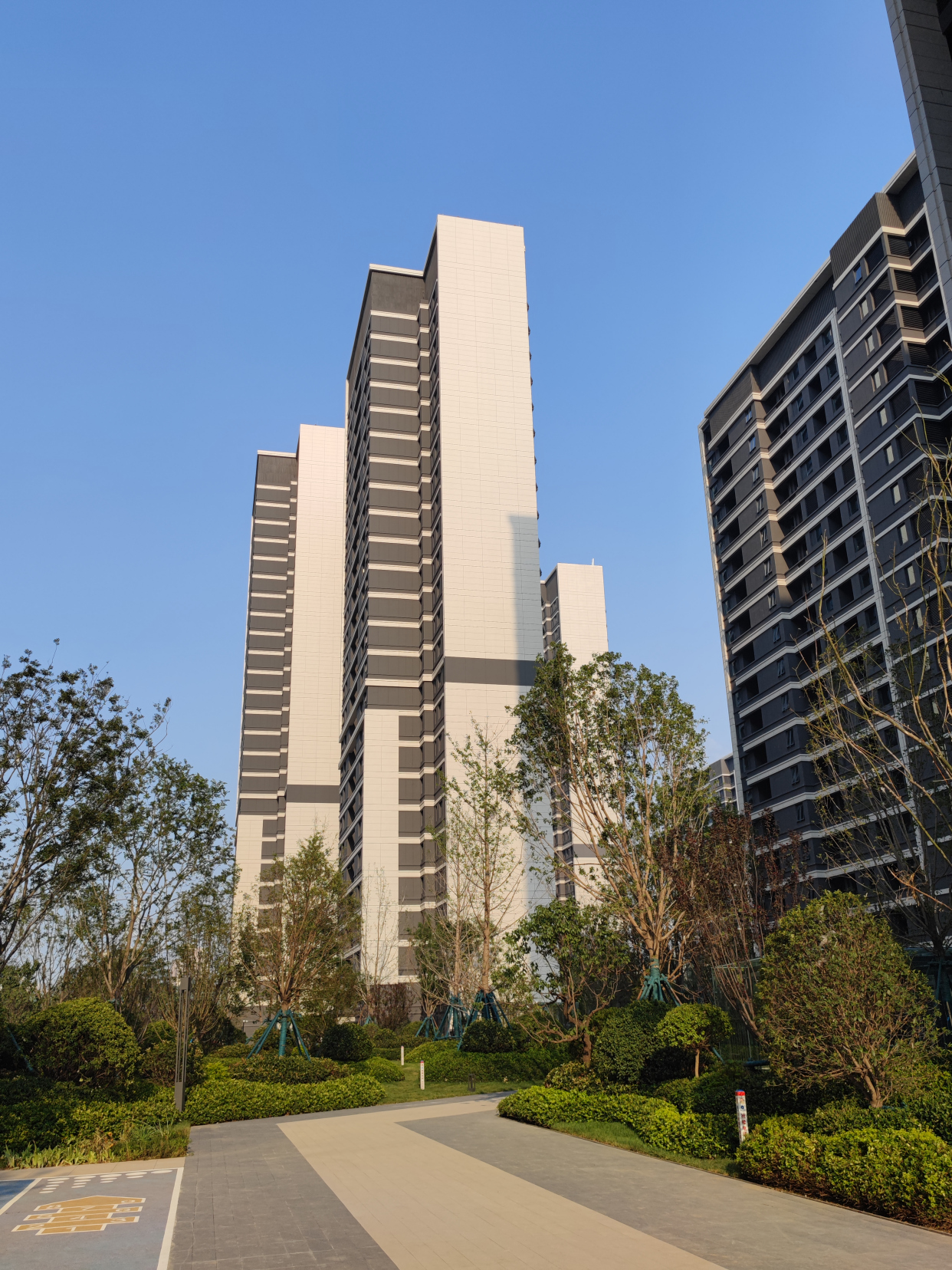 18张实拍图,看下绿城春来晓园的交付