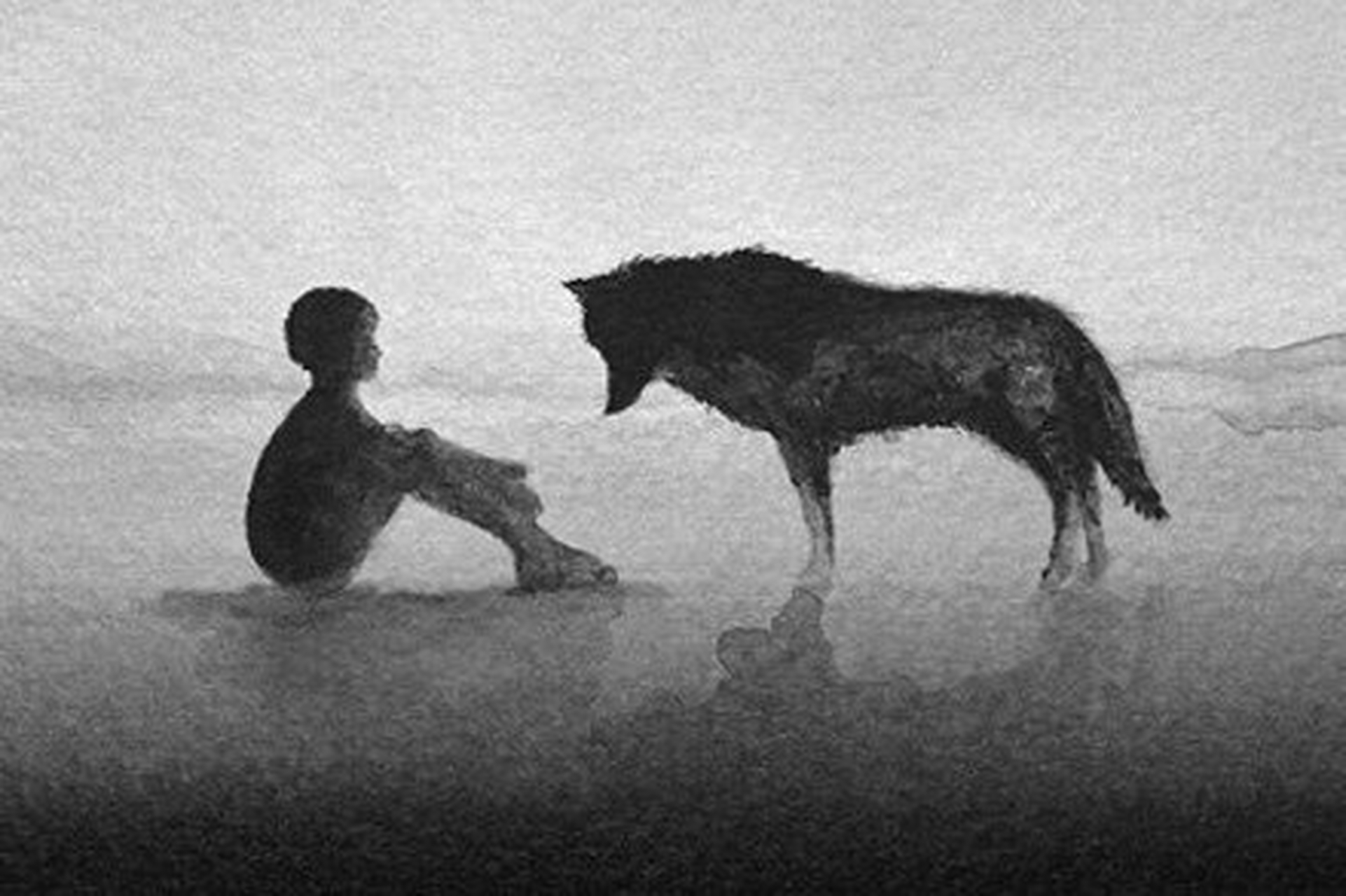 一切缘分的开始,都因为那该死的好奇心#情感# #人生感悟