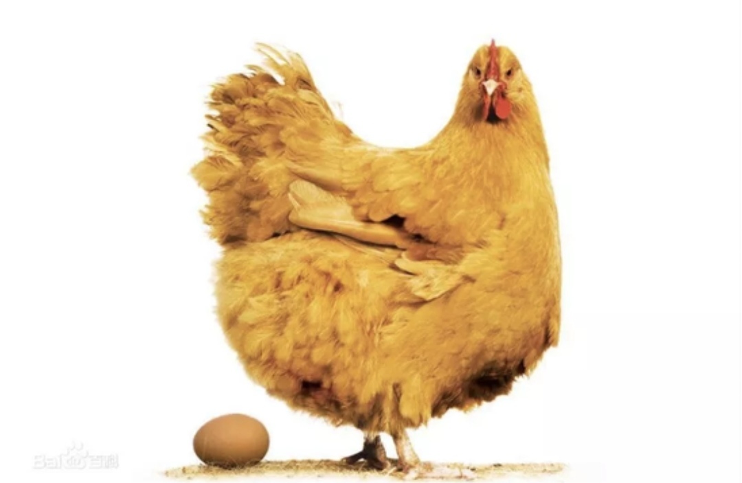 传说故事 傻姑爷