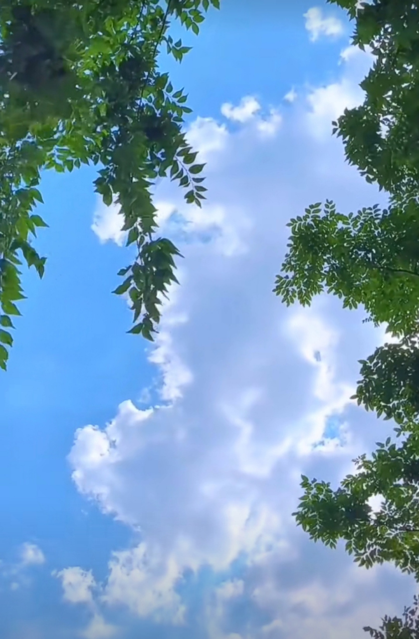 想你的时候,我抬头微笑,你知道不知道?