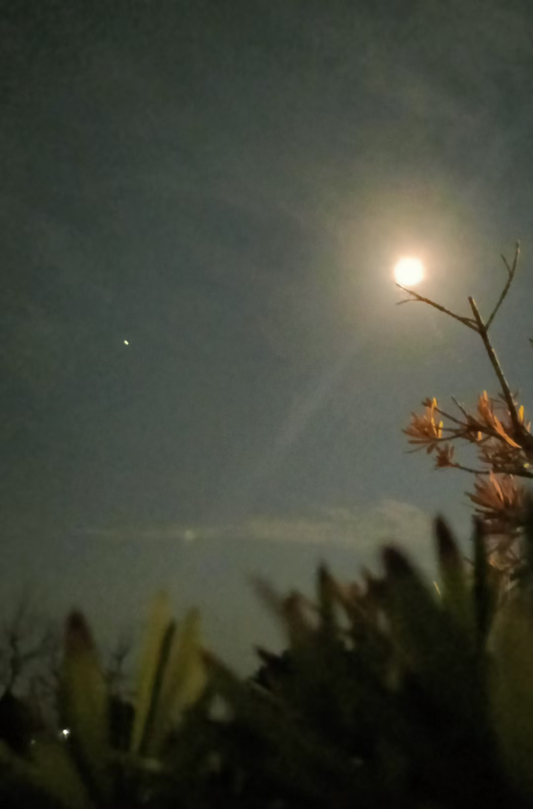 千里共婵娟丨壬寅中秋夜朋友圈赏月图集锦