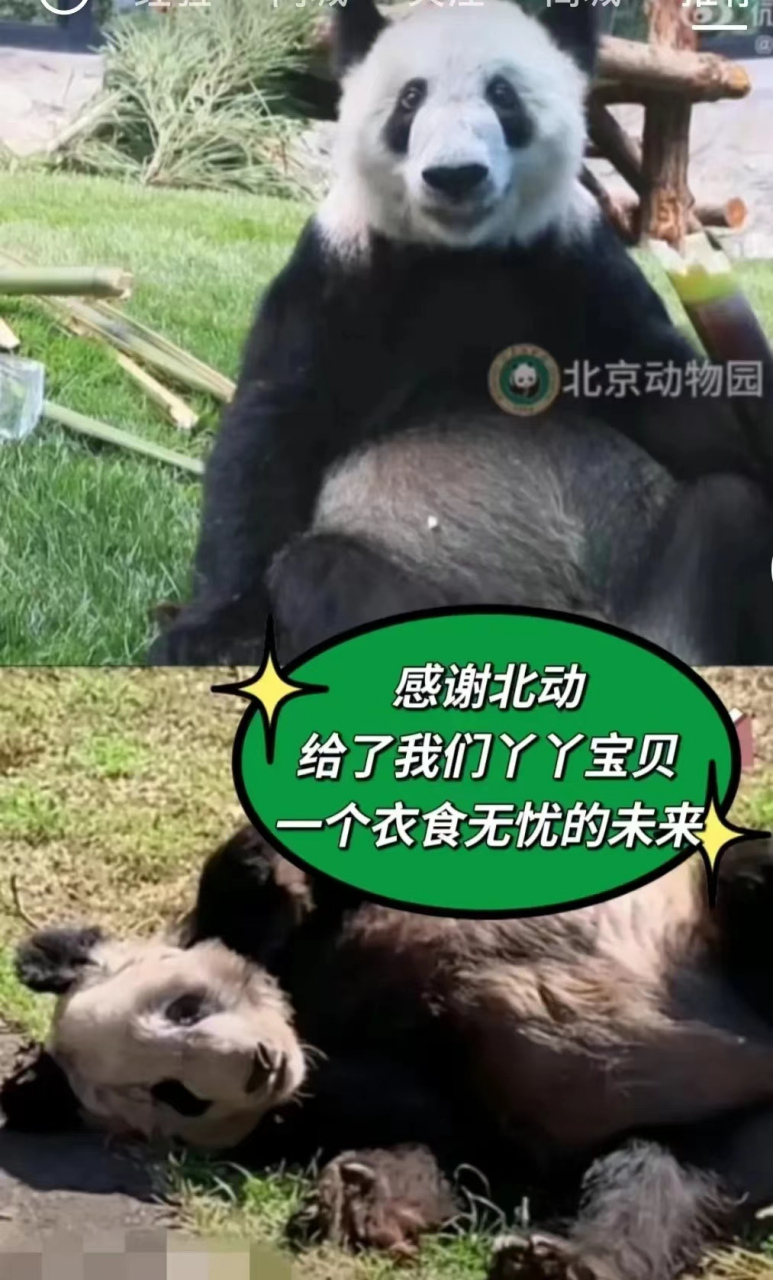 但它的遭遇