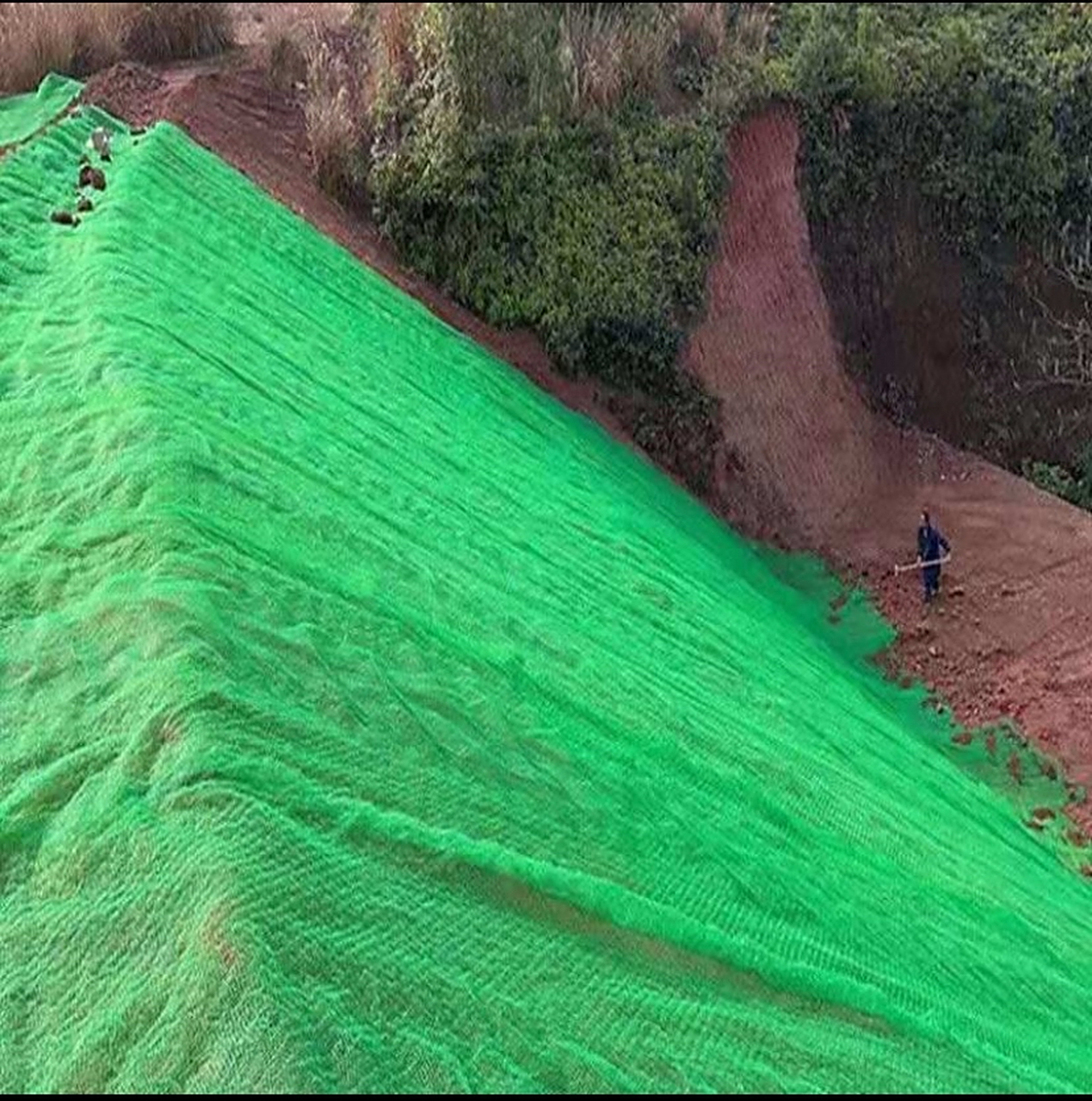 护坡三维植被网施工效果图!欢迎交流