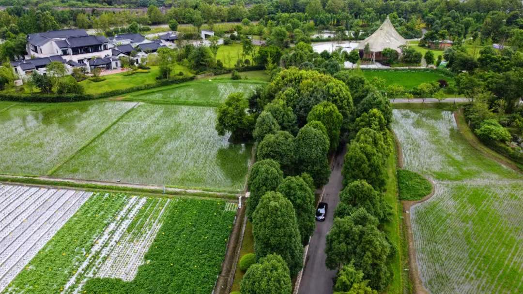 你想要的田园生活,尽在成都多利农庄