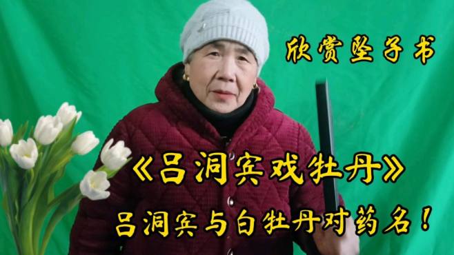 [图]欣赏坠子书《吕洞宾戏牡丹》吕洞宾与白牡丹对药名，弘扬文化！