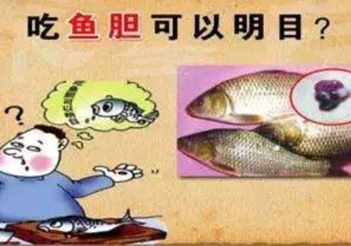 胆子真大!宁波一男子为了明目怒吞鱼胆,导致多器官严重损害!