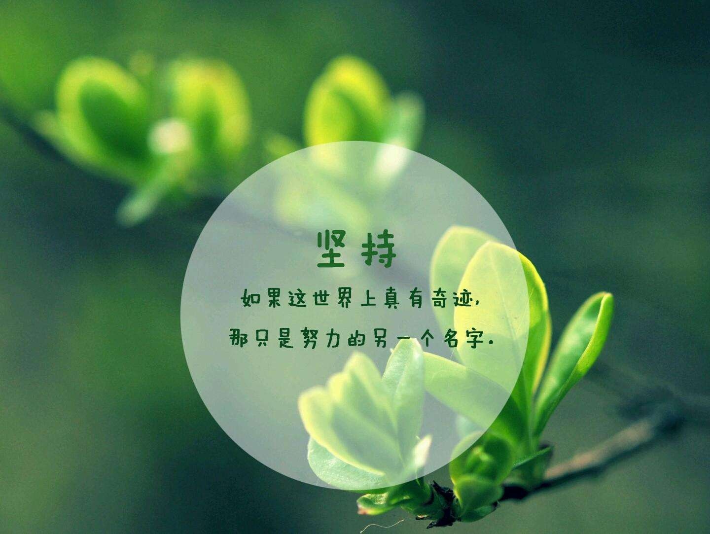 01分 继续努力学习期待会更好!加油! #猫咪