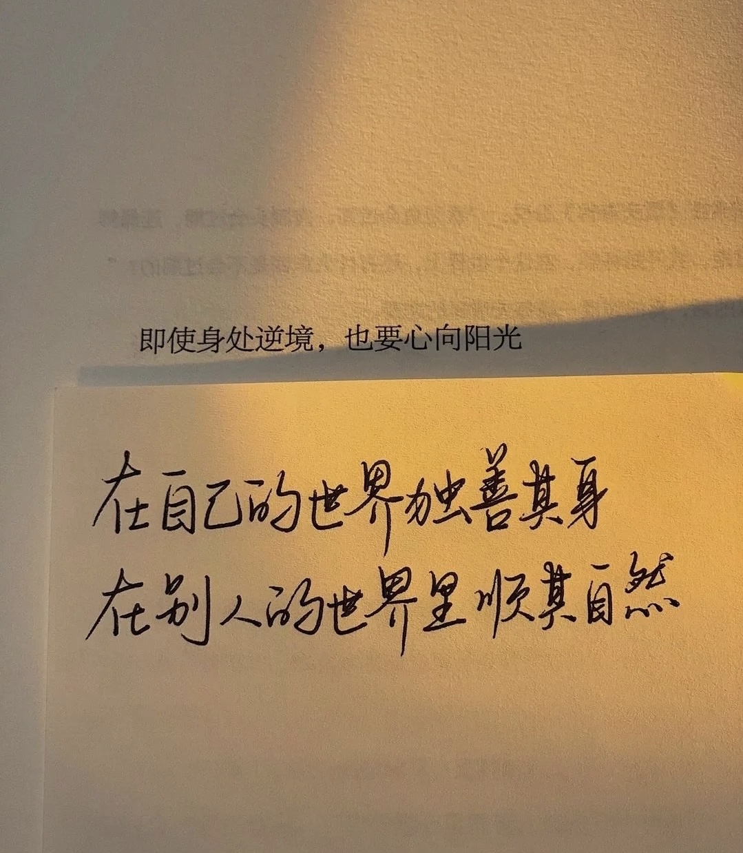 信念的力量在于即使身处逆境(信念的力量有什么)