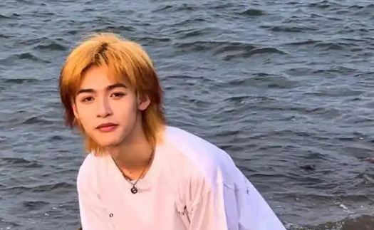 狼尾的尴尬期是什么样子的