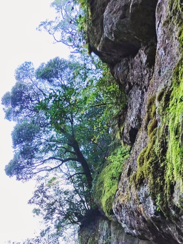 遊閩清白巖山