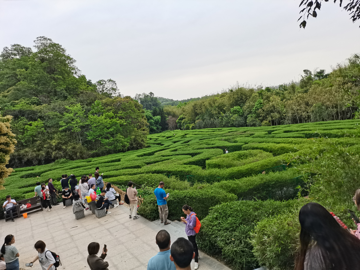 游大屏嶂森林公园