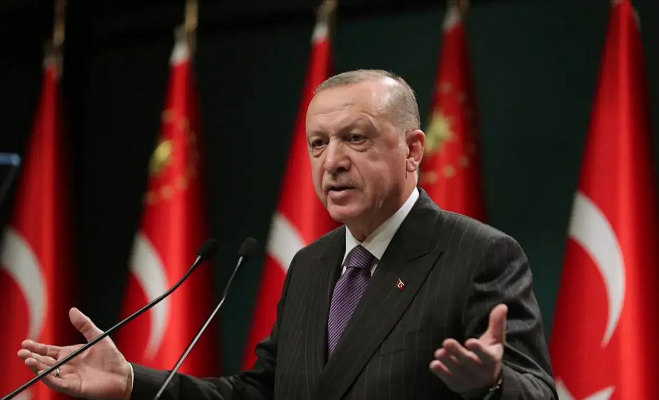 卡塔尔半岛电视台今天(11月5日)报道:"土耳其总统埃尔多安表示,他将与