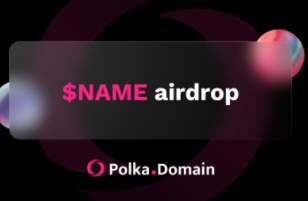Polka.Domain：空投总量200,000枚NAME令牌，4月17日收到令牌
