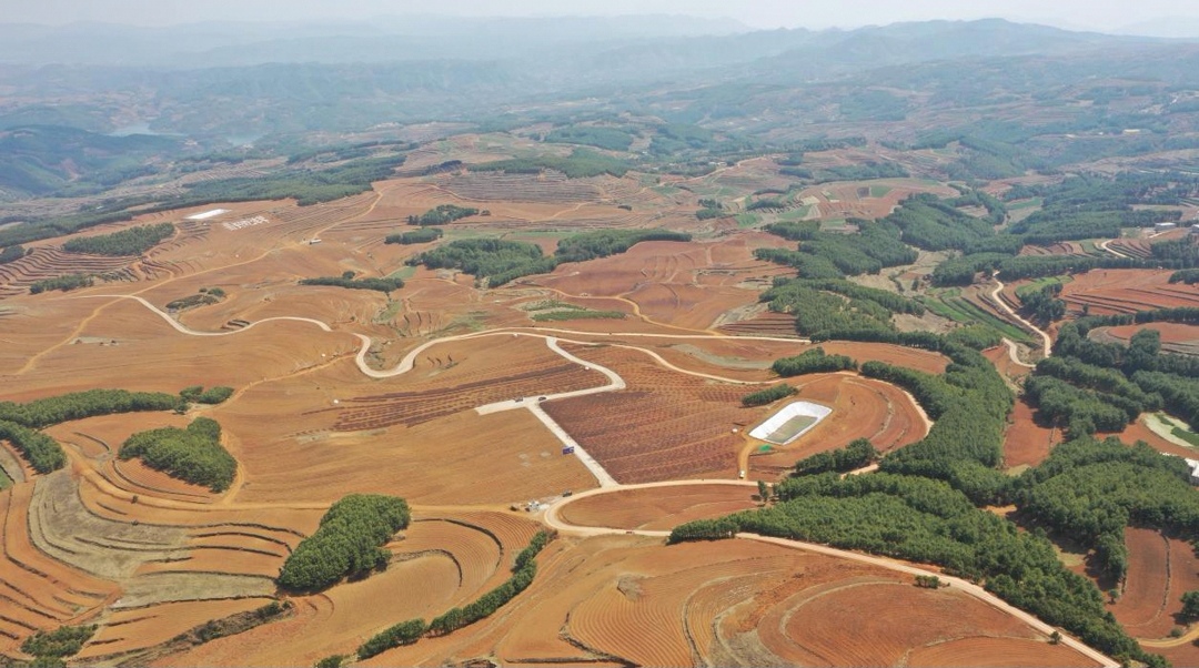 巧家马树镇:推进洋芋帝国基地建设 为民办实事