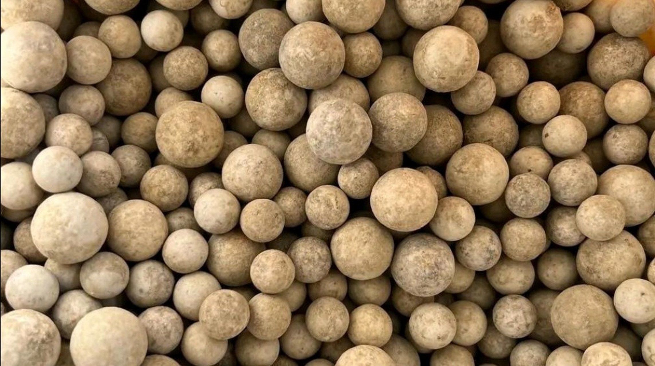 你发了!全是舍利子,又可能是九转还魂丹,宝贝啊