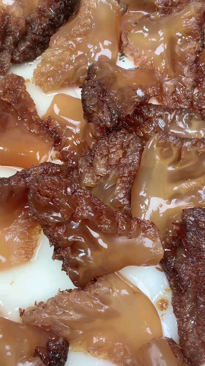 黄海本地海蜇头前脚