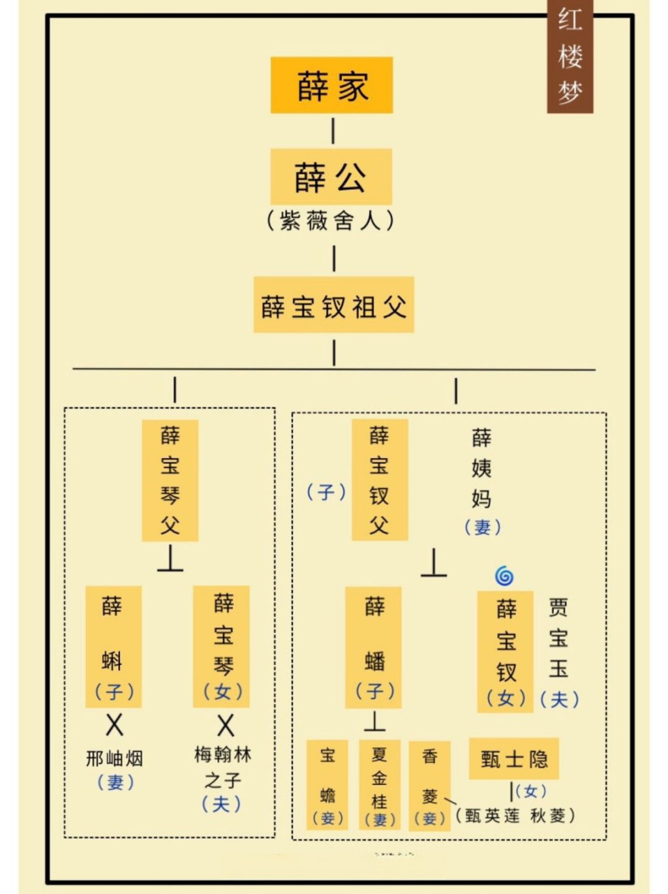 贾母人物关系图图片